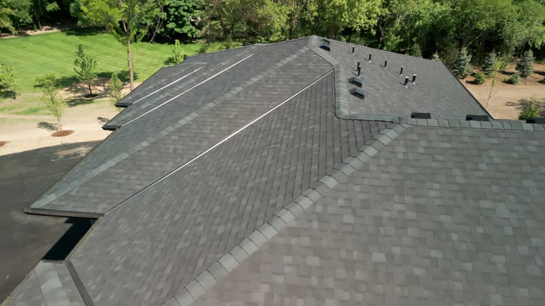 Best Roof Moss and Algae Removal  in Fishers, IN