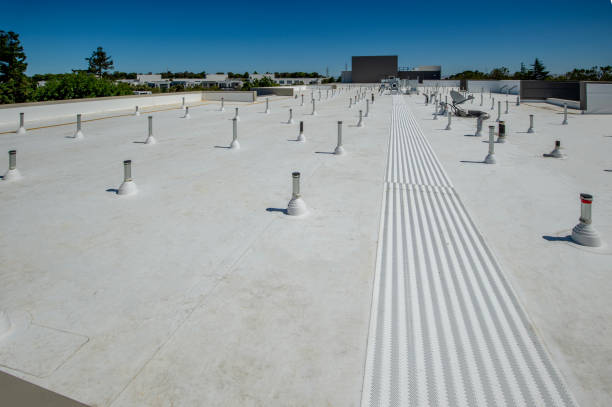 Best Roof Coating and Sealing  in Fishers, IN